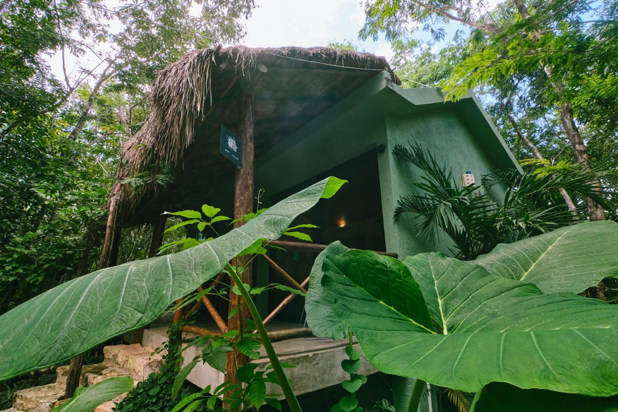 Villas Zamna - Jungle Villas Косумель Экстерьер фото