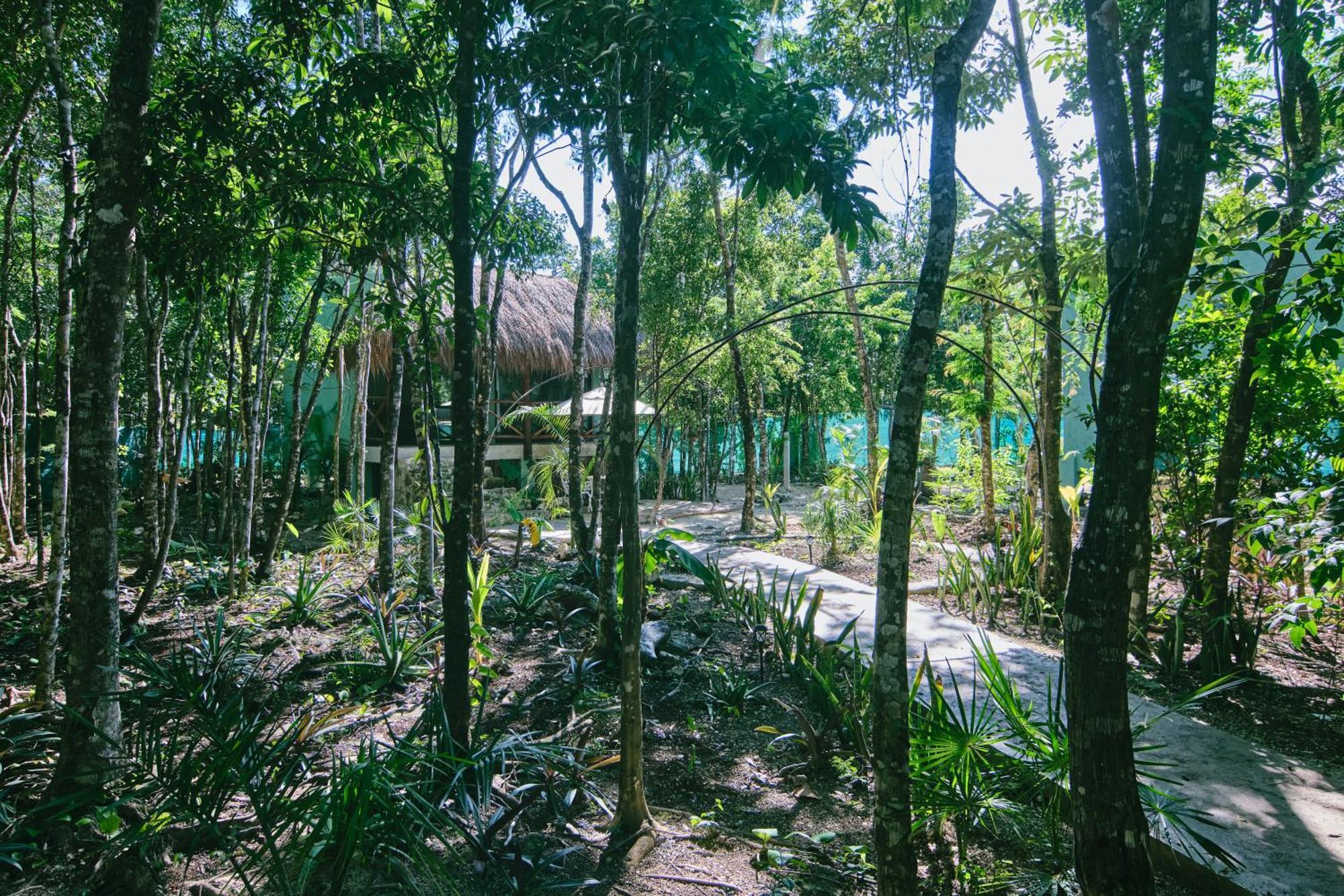Villas Zamna - Jungle Villas Косумель Экстерьер фото