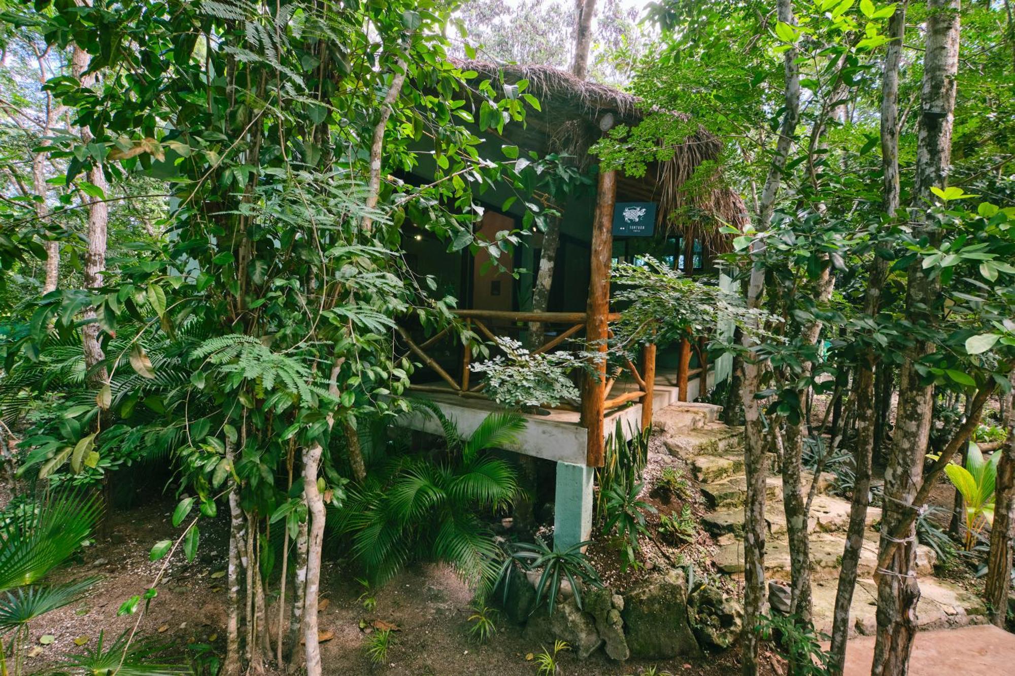 Villas Zamna - Jungle Villas Косумель Экстерьер фото