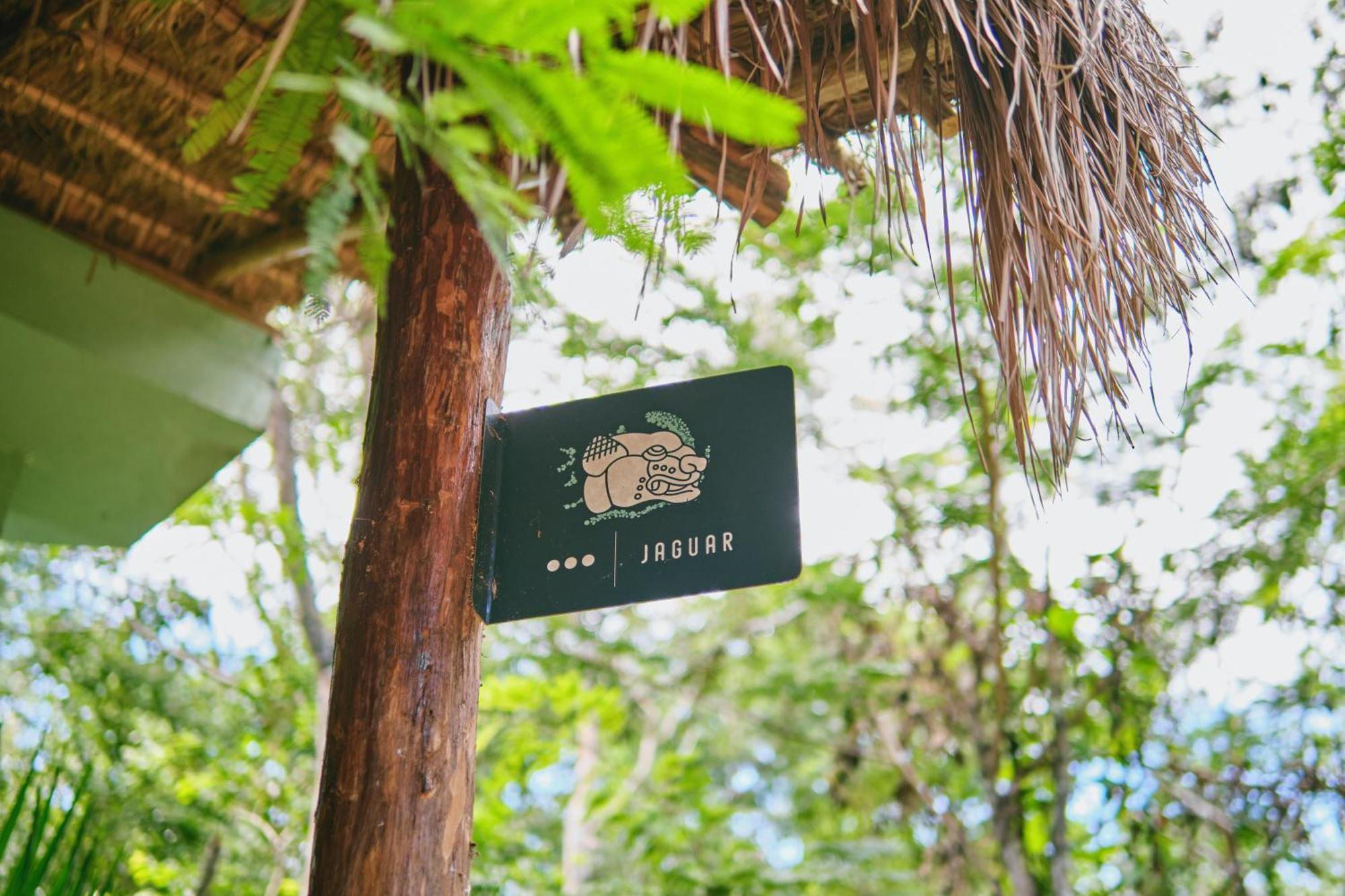 Villas Zamna - Jungle Villas Косумель Экстерьер фото
